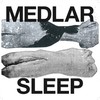 1516 - Medlar
