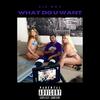 What Do U Want (Explicit) - Lil Roy