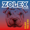 Yes & No (Sharpei Mix) - Zolex