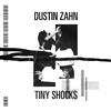 Tiny Shocks (Invasion Mix) - Dustin Zahn