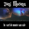 In varf de munte sau vale - Dani Mocanu