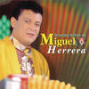 Payaso (Album Version) - Miguel Herrera&Raul Martinez