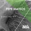 Burning (Original Mix) - Pepe Mateos
