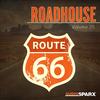 Southern Blues Rock - Aleksandar Culjic