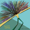Not Alone (MALKA) - MALKA