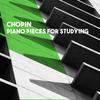 Piano Sonata No. 3 in B Minor, Op. 58: II. Scherzo. molto vivace - vladimir shakin