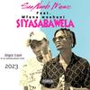 Siyasabawela (feat. Mfana woshuni) - SeaNando Music&Mfana Woshuni