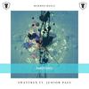 Emotions - Swattrex&Junior Paes
