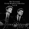 Like Strangers - The Everly Brothers