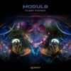 Neurons (Original Mix) - Modul8&Shunkan Idou