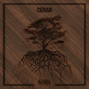 CEDAR (Explicit) - Shocktown