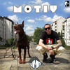 Motiv - LMR