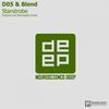 Starstrobe (Original Mix) - D05&Blend