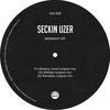 Madding Crowd (Original Mix|Explicit) - Seckin Uzer