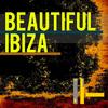 Chicago Heartbeat (Jason Rivas Edit) - Life in the Strings