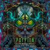 Nahual (Original Mix) - Psypien