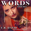 Words (Remix 2020) - F.R. David