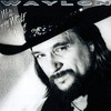 Working Without A Net - Waylon Jennings