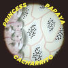 CACHARRITO (Original Mix) - PRINCESS PAPAYA