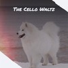 The Cello Waltz - Colin ODwyer