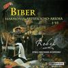 Partia I in D Minor for Two Scordatura Violins & Basso Continuo: III. Gigue: Variatio I & II - Rebel