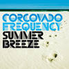 I'm Free (Wizard Edit) - Corcovado Frequency&Uschi