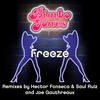 Freeze (Joe Gauthreaux 2010 Remix) - Bimbo Jones