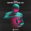 Never Letting Go - Desno