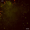 Do Not Disturb - Tec 77