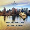 Slow Down (Original Mix) - Tibor Dragan