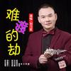 难渡的劫 - 刘习军