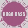 Asking Why - Hugo Bass