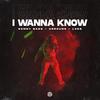 I Wanna Know - Sonny Bass&Arround&L3ss&Johannes Schelvis&Pandya Tushar&Rico Ronde