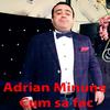 Cum Să Fac - Adrian Minune&Mihaita Piticu