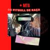 MTG -os pitbull de raça (Explicit) - Mc Rkostta&MC RD&MC Movic