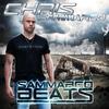 Your Body (Chris Sammarco Bootleg Mix) - Chris Sammarco&Capa&Betim B