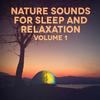 Sounds from a Grove: Spring, Winds and the Blackbird - Michael Hamilton