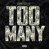 Too Many (Explicit) - BluMoney Cizzle&G6