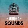 Planets Aligned - Buddha Sounds