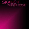 Short Wave (Original Mix) - Skauch