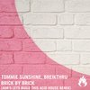 Brick by Brick (ADR's Let's Build This Acid House Remix) - Tommie Sunshine&Breikthru&ADR