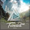 Entangled (Tritonia 409) - Klur