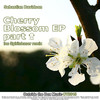 Cherry Blossom (Spiritchaser Remix) - Sebastian Davidson