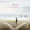 Falling Into Place (Maxx T. Remix) - Tecko&Maxx T.