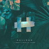 I Don't Really Care - Hallman