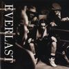 Syndication (Remix) - Everlast