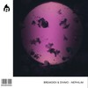 Nephilim (Radio Edit) - BreakdeX&Divmo