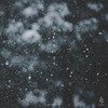 궁금해? (Feat. 김미정) (I Wonder) - 노르웨이 숲&김미정 (Kim Mi Jeong)