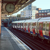 Track of Time - Mark Goldswag
