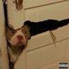 Been A Opp (Explicit) - Norm Breeze